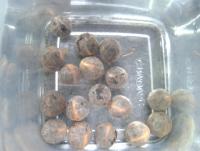 post-14443-0-93422000-1458660616_thumb.j