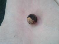 post-14443-0-98854800-1458648729_thumb.j