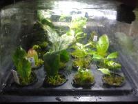 post-14443-0-99811800-1458693585_thumb.j