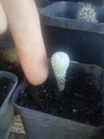 post-11944-0-74942800-1429138781_thumb.j