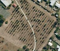 post-6175-0-04469500-1309474721_thumb.jp