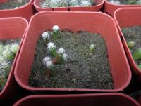 post-12824-0-43848700-1402081790_thumb.j