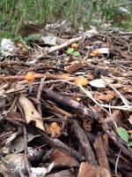 post-15105-0-88881200-1404774586_thumb.j