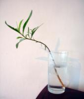 post-9414-0-32845900-1345821584_thumb.jp