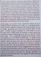 post-11691-0-24144500-1348104067_thumb.j