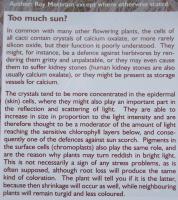 post-11691-0-31411300-1348104052_thumb.j