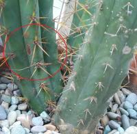 post-7053-0-06155200-1348037197_thumb.jp