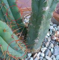 post-7053-0-89500800-1348037206_thumb.jp