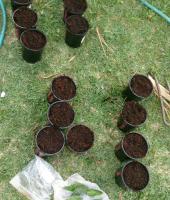 post-14605-0-08156500-1445069055_thumb.j