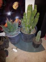 post-12824-0-65353400-1388463615_thumb.j