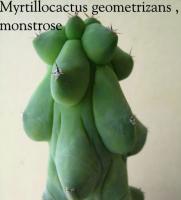 post-13197-0-99691500-1387441915_thumb.j