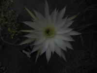 post-13685-0-37187700-1417558052_thumb.j