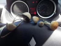 post-9696-0-73005500-1418514932_thumb.jp