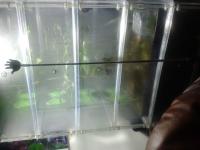 post-14443-0-23225000-1450925733_thumb.j