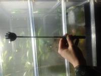 post-14443-0-31587300-1450925708_thumb.j