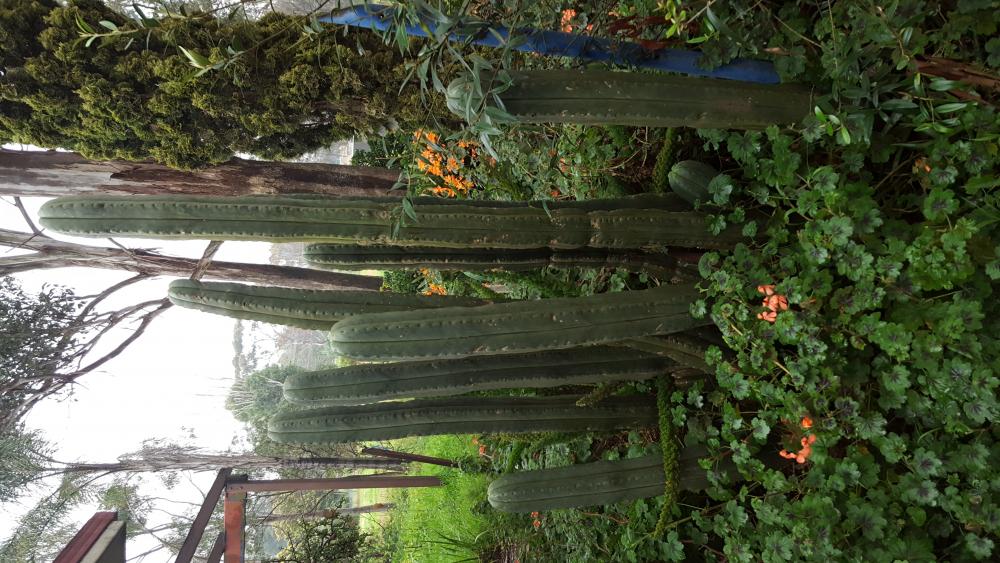 20160914_081104.jpg