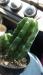 Altman2.thumb.jpg.6062e38ea06731c146af875438269bbc.jpg