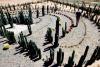 JB110_13_Cacti_labyrinth_at_Obesa_nursery_with_man_walking_through.thumb.jpg.31554e3399b07f4cd8b9cd1dc5762154.jpg