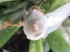 8wrap.thumb.jpg.9b61e93db085554f080407ebb943fcf0.jpg