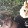 Darce Mouse