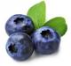 blueberries.thumb.jpg.e1affd073ab5d49c3736df57f9b9d23c.jpg