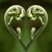 plant-heart.thumb.jpg.185a037bf64db72d21e4cb33d73f78b5.jpg