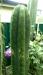 IMAG2156_1.thumb.jpg.325505be7480d2a6d786ca84e6694ba1.jpg