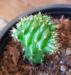 20190106_145102.thumb.jpg.e957fda1b439677a344dc82a643311c9.jpg