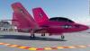 pink plane.jpg