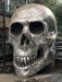 skull.thumb.JPG.91eef4c1af86b14a355448f770cbb4d0.JPG