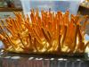 cordyceps3.thumb.JPG.5ecd95ec01fb36aa344925b5a91340f9.JPG