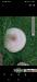 Screenshot_20210219-183903_Gallery.thumb.jpg.714aff7229ac9bd4c106497a641750ad.jpg