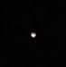 bloodmoon.thumb.jpg.c833e595f72305983fec5aa272daf65d.jpg