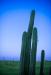 205240038_test-2.thumb.jpg.599d2563d1481e44136b6760c66222ce.jpg