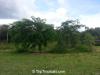 20140706_152337.thumb.jpg.538b2c1ee93ce5f552863cd5d8efbc8d.jpg