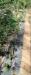 IMG_3357.jpeg