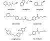 image.thumb.png.8157f1d2be3aeb5ff6d5686bec946209.png