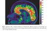 image.thumb.png.596e928526ff6601e4eb1c5951c18ff0.png
