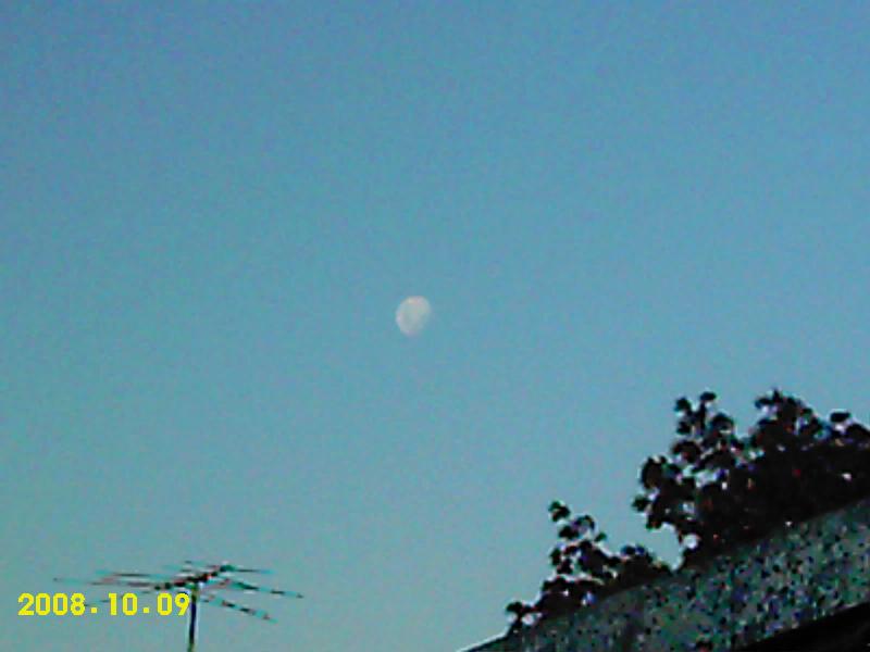 The moon on the 11th march at flowering