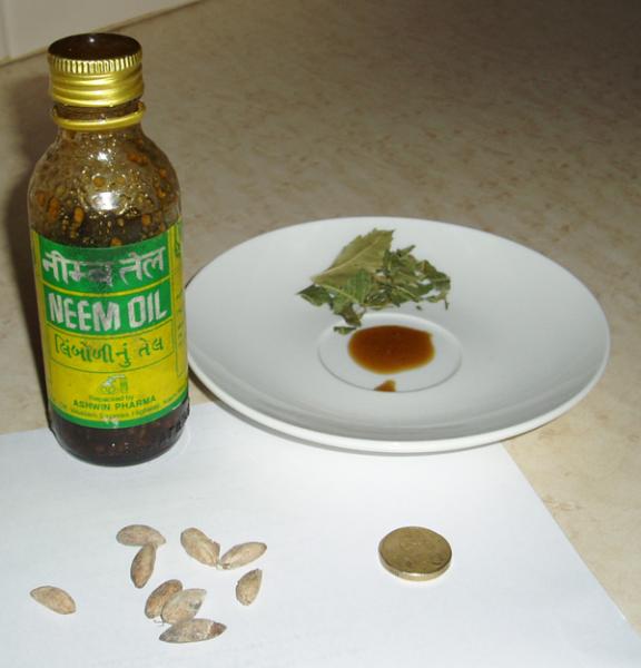 Neem seeds