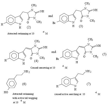 marine tryptamines