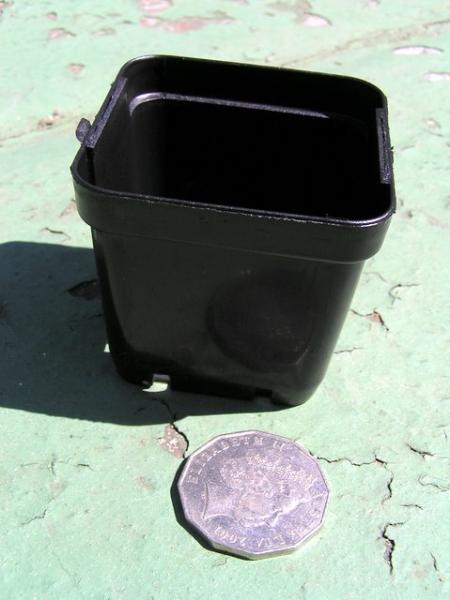 63mm squat pot with coin for scale