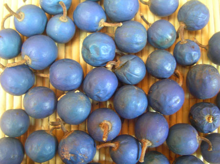 Ganitri Fruits