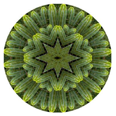 Gif mandala