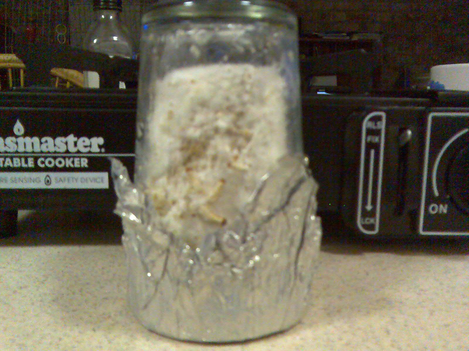 Pinning Jar