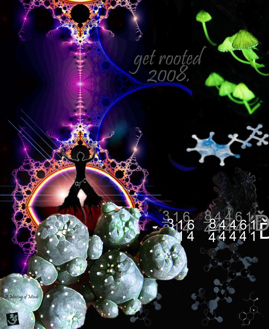 get rooted design1.jpg