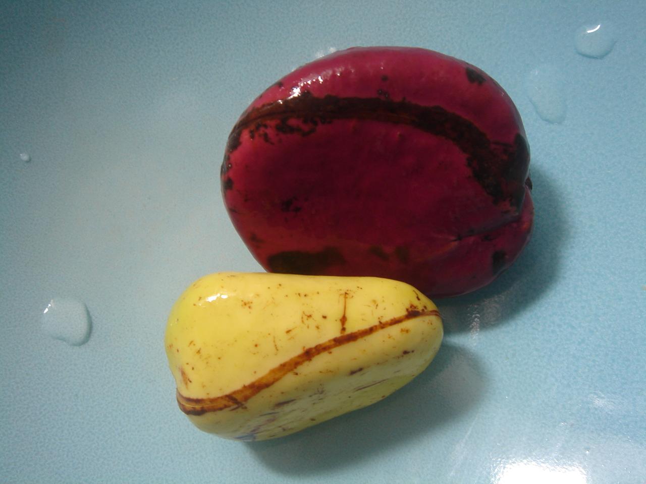 white and red nuts
