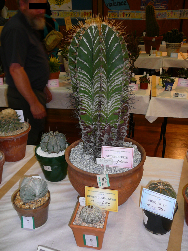 Ryde Cactus Show