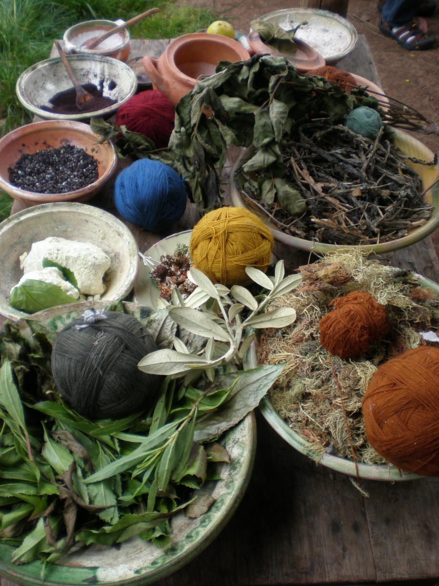 Dye Plants at Weaving Co-Op