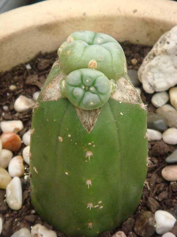 thanks. you know who you are :)